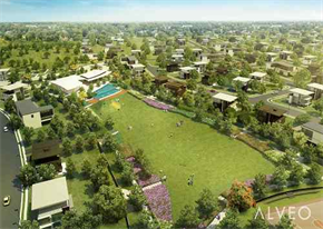 Mondia At Nuvali